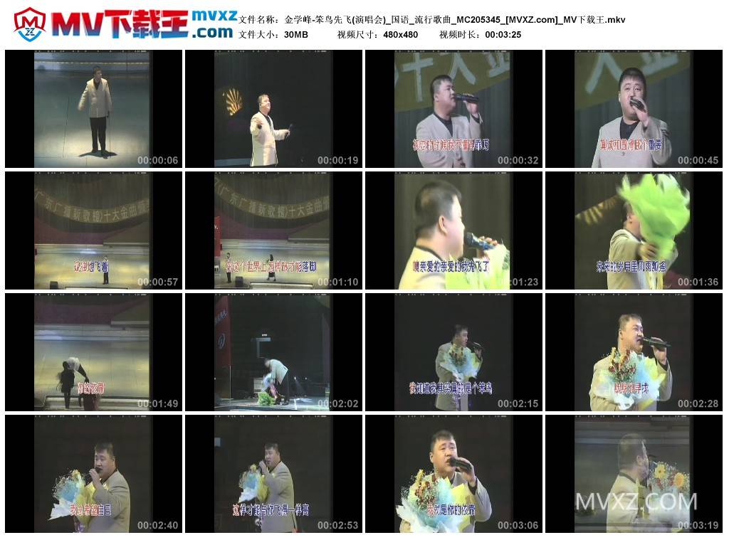 金学峰-笨鸟先飞(演唱会)_国语_流行歌曲_MC205345